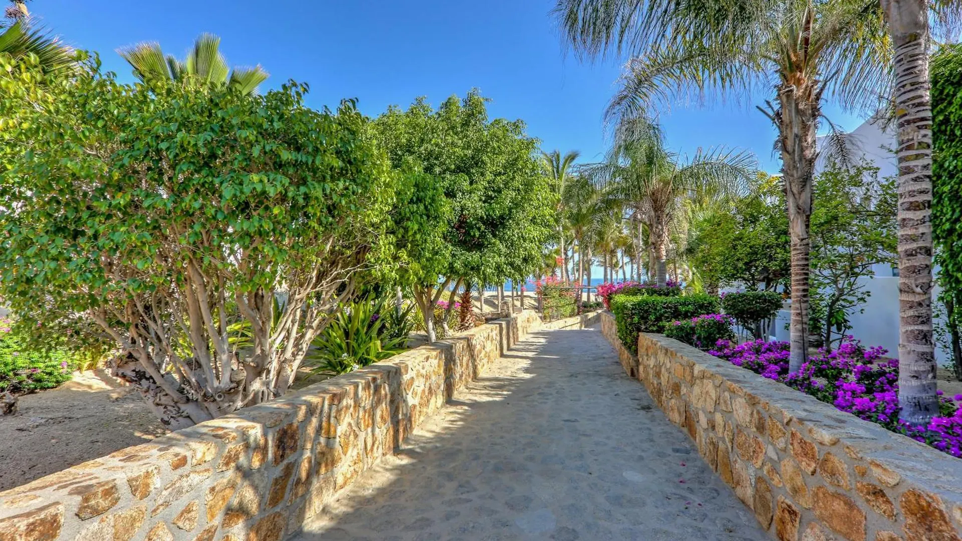 Cabo Pedregal Condo Ocean View And 2 Infinity Pools Cabo San Lucas Apartment